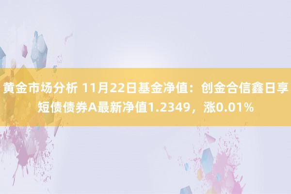 黄金市场分析 11月22日基金净值：创金合信鑫日享短债债券A最新净值1.2349，涨0.01%