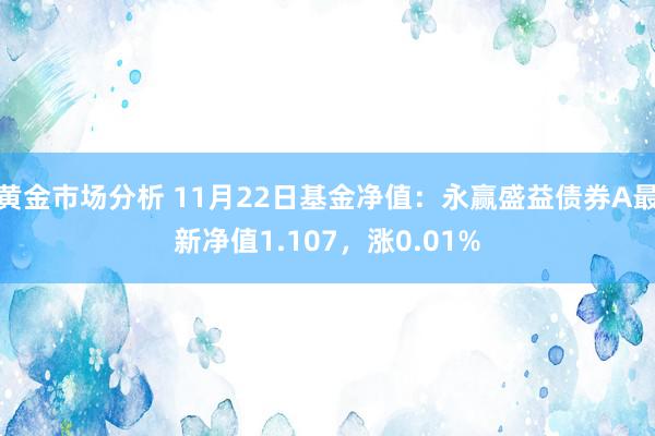 黄金市场分析 11月22日基金净值：永赢盛益债券A最新净值1.107，涨0.01%