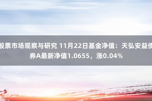 股票市场观察与研究 11月22日基金净值：天弘安益债券A最新净值1.0655，涨0.04%