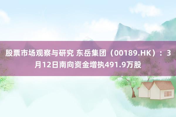 股票市场观察与研究 东岳集团（00189.HK）：3月12日南向资金增执491.9万股