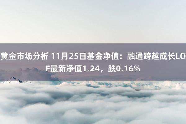 黄金市场分析 11月25日基金净值：融通跨越成长LOF最新净值1.24，跌0.16%