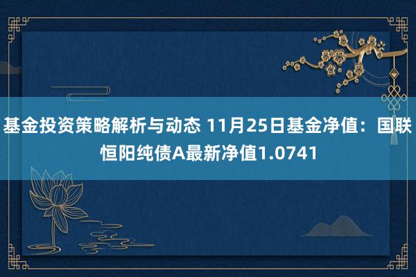 基金投资策略解析与动态 11月25日基金净值：国联恒阳纯债A最新净值1.0741