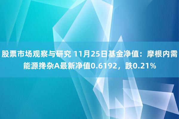 股票市场观察与研究 11月25日基金净值：摩根内需能源搀杂A最新净值0.6192，跌0.21%