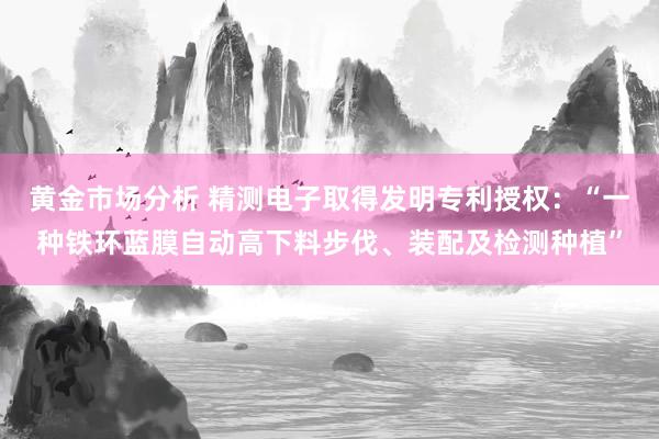 黄金市场分析 精测电子取得发明专利授权：“一种铁环蓝膜自动高下料步伐、装配及检测种植”