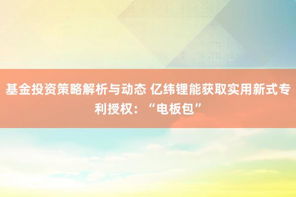 基金投资策略解析与动态 亿纬锂能获取实用新式专利授权：“电板包”