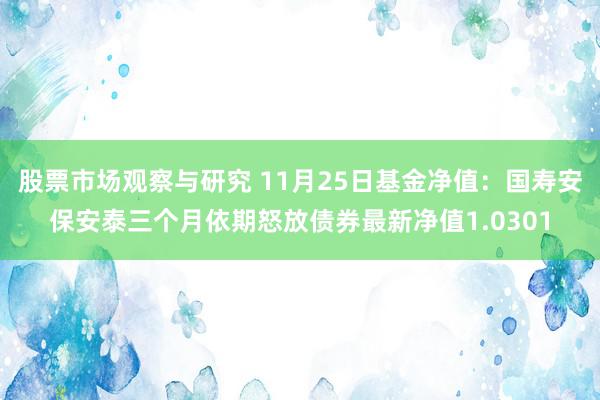 股票市场观察与研究 11月25日基金净值：国寿安保安泰三个月依期怒放债券最新净值1.0301