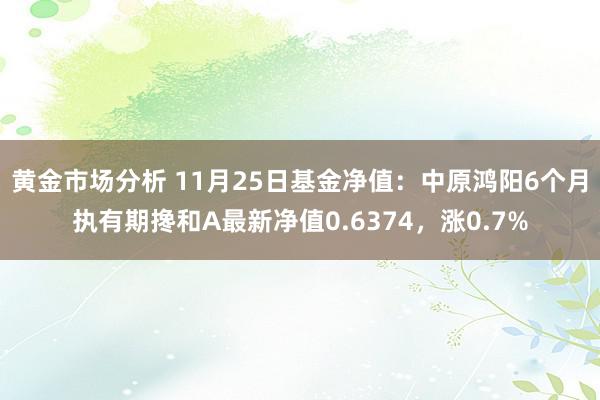 黄金市场分析 11月25日基金净值：中原鸿阳6个月执有期搀和A最新净值0.6374，涨0.7%