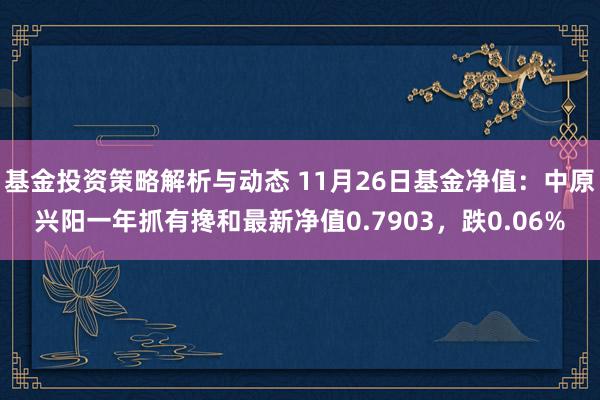 基金投资策略解析与动态 11月26日基金净值：中原兴阳一年抓有搀和最新净值0.7903，跌0.06%