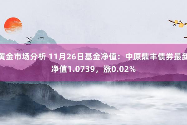 黄金市场分析 11月26日基金净值：中原鼎丰债券最新净值1.0739，涨0.02%