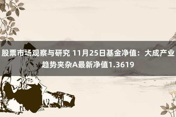 股票市场观察与研究 11月25日基金净值：大成产业趋势夹杂A最新净值1.3619