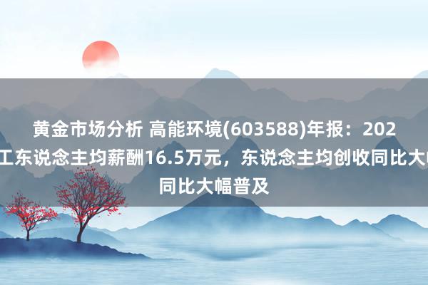 黄金市场分析 高能环境(603588)年报：2024年职工东说念主均薪酬16.5万元，东说念主均创收同比大幅普及